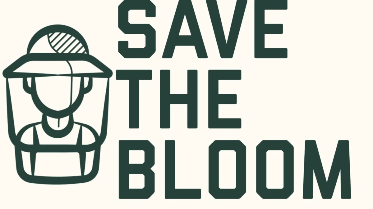 STB logo
